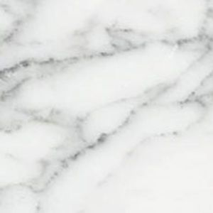 Meet your Posher, Abigail